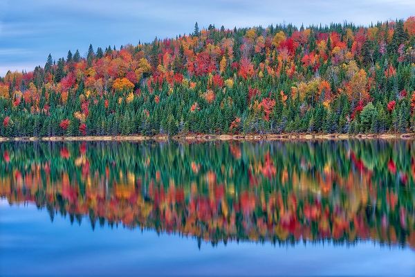 Canada-Quebec-La Mauricie National Park Autumn colors reflected in Lac Modene